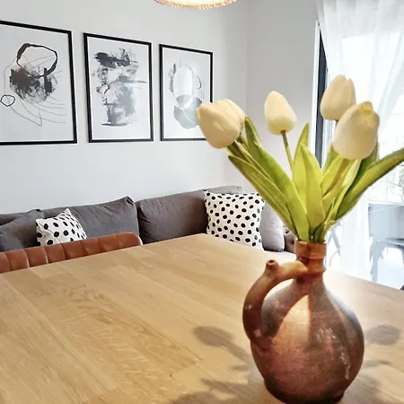 Dissy Split Apartamento *