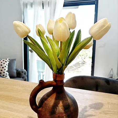 Dissy Split ポドストラナ