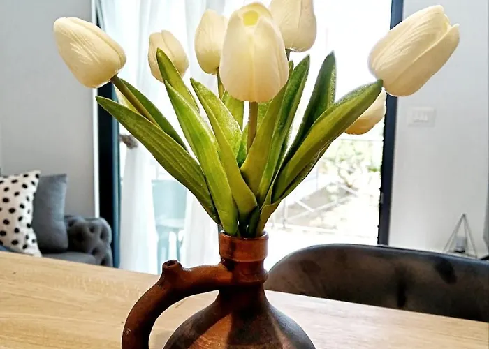 Dissy Split 포드스트라나